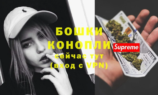 мдпв Осинники