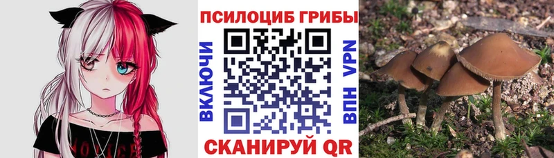 Галлюциногенные грибы MAGIC MUSHROOMS  Купить закладки  Ужур 